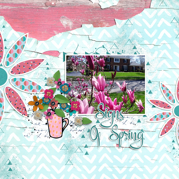 Signs Of Spring