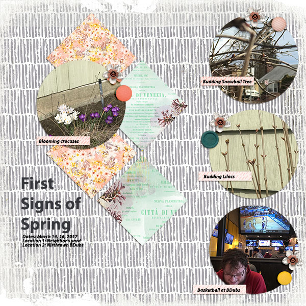 Signs Of Spring