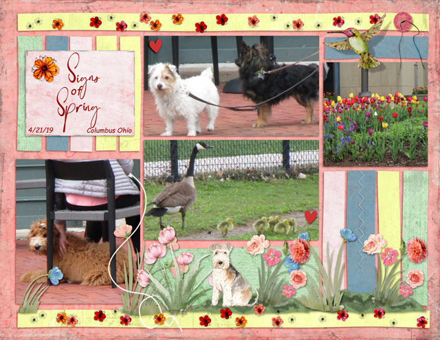 Signs-of-Spring