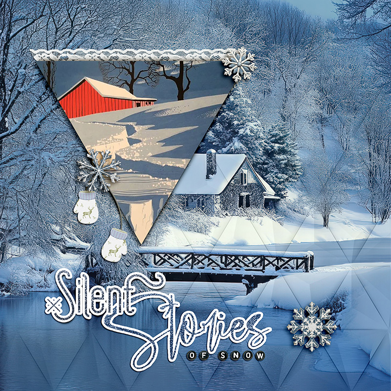 Silent Stories Of Snow