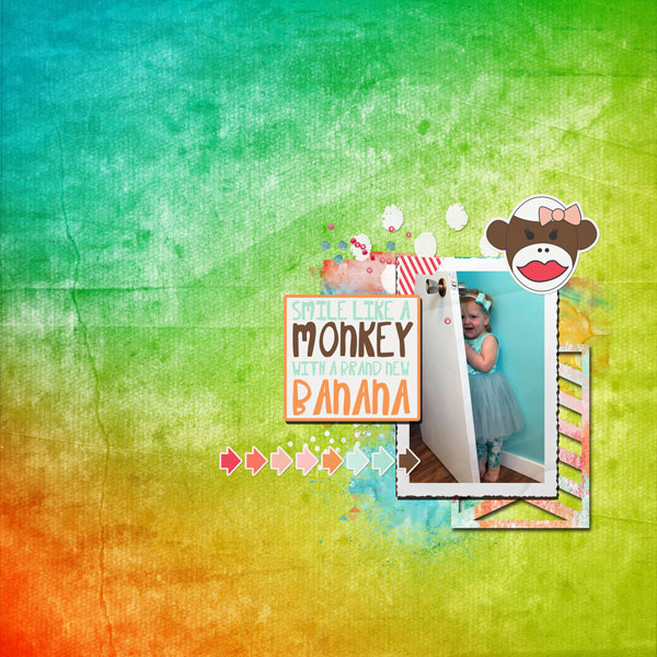 Silly Monkey