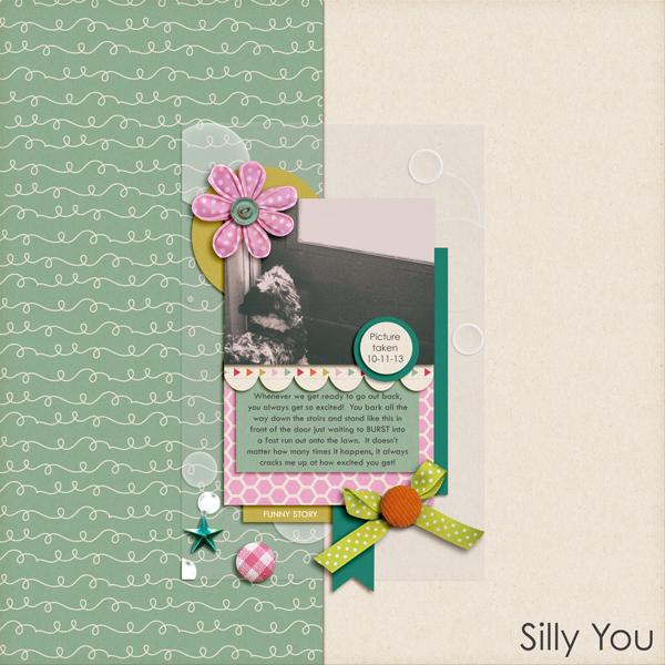 Silly You