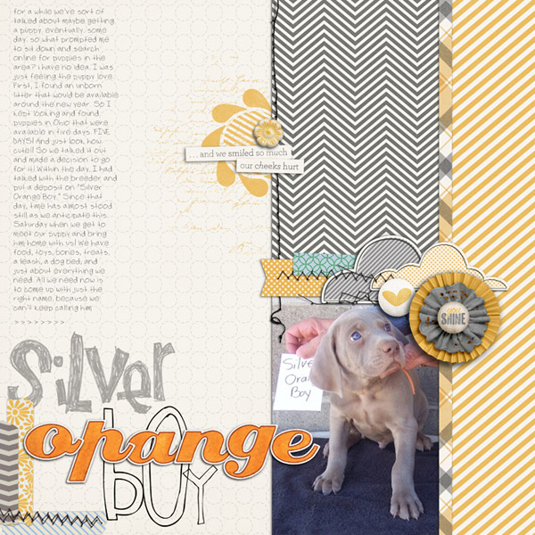 Silver Orange Boy
