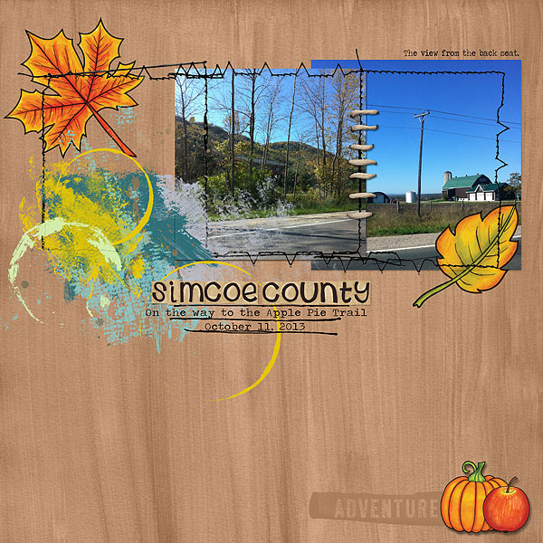 Simcoe County