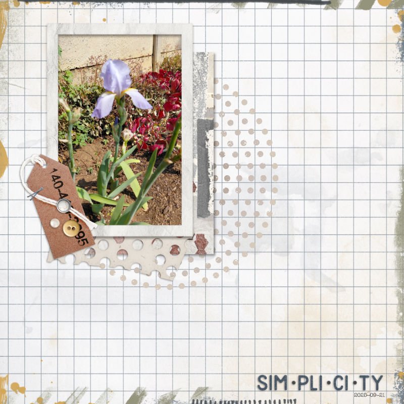 simplicity