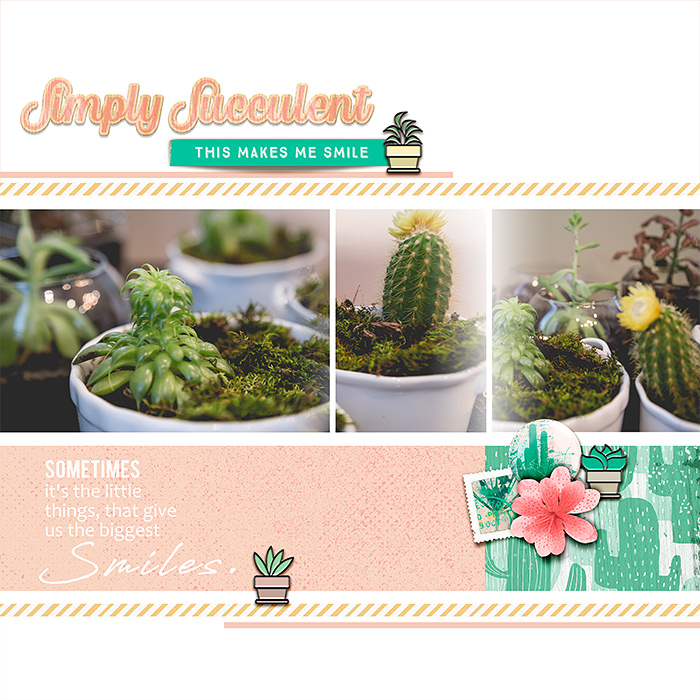 Simply Succulent