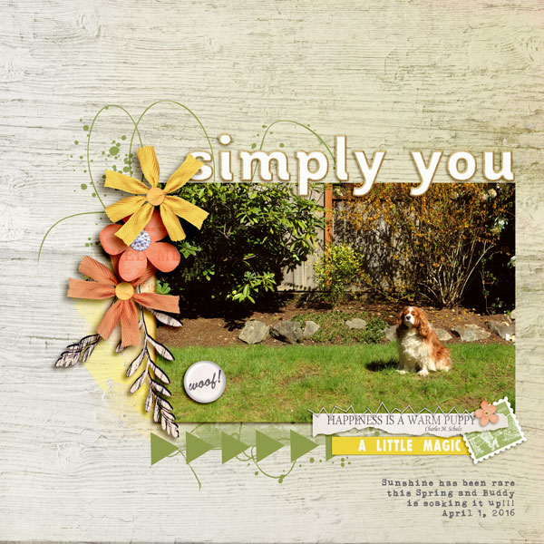 Simply You | April 2016 Photography Challenge