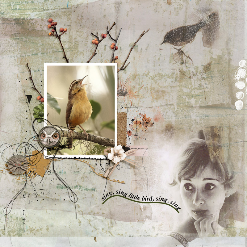 Sing, Sing little bird