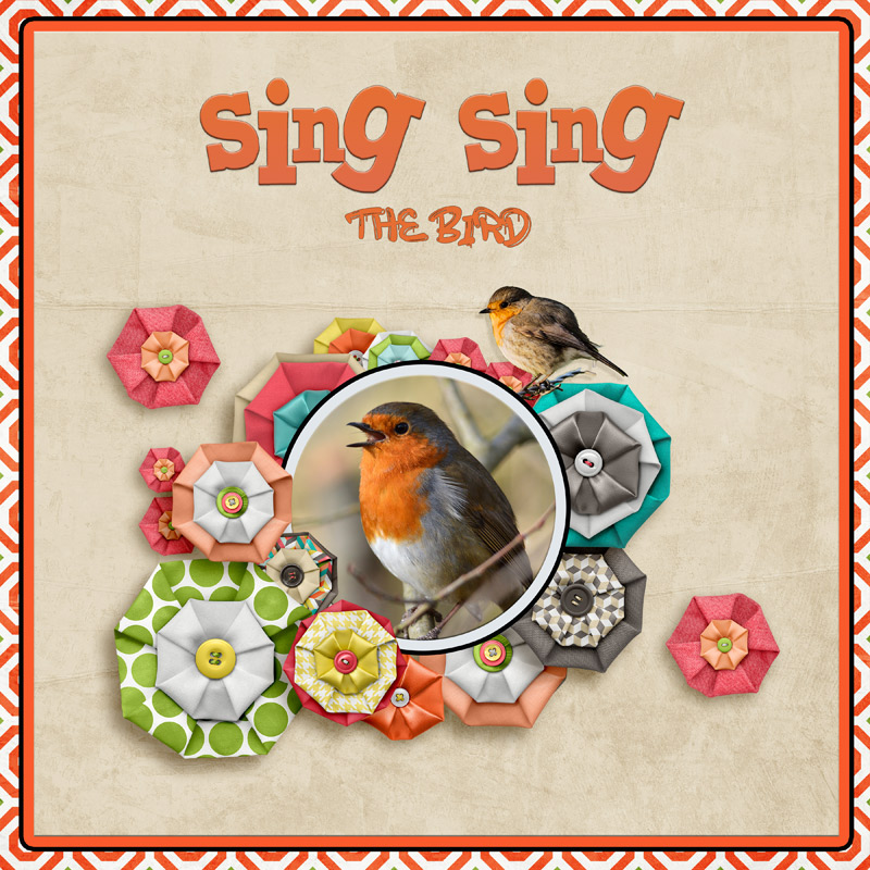 Sing, Sing the bird