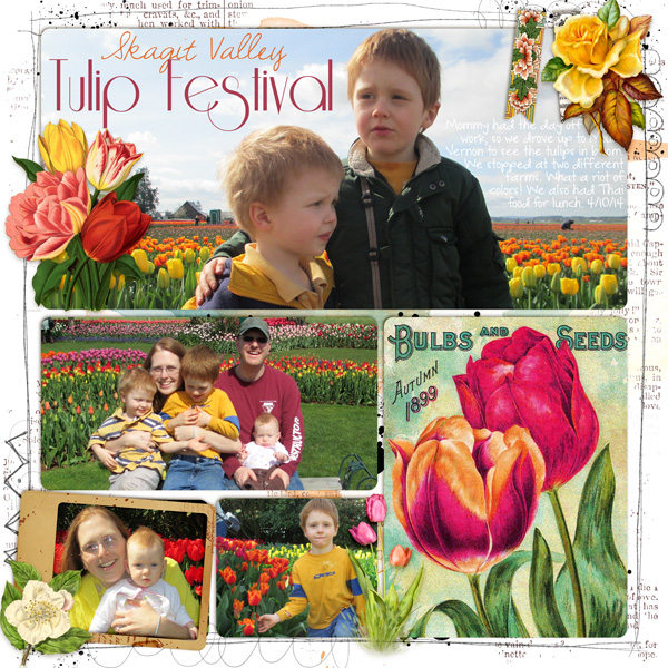 Skagit Valley Tulip Festival