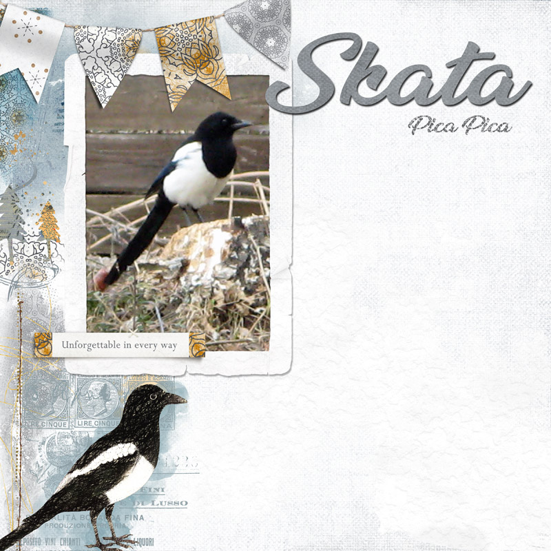 Skata