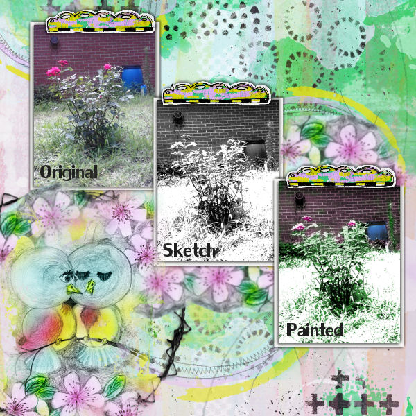 Sketchy Roses