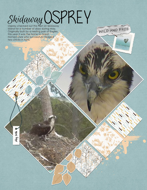 Skidaway-Osprey