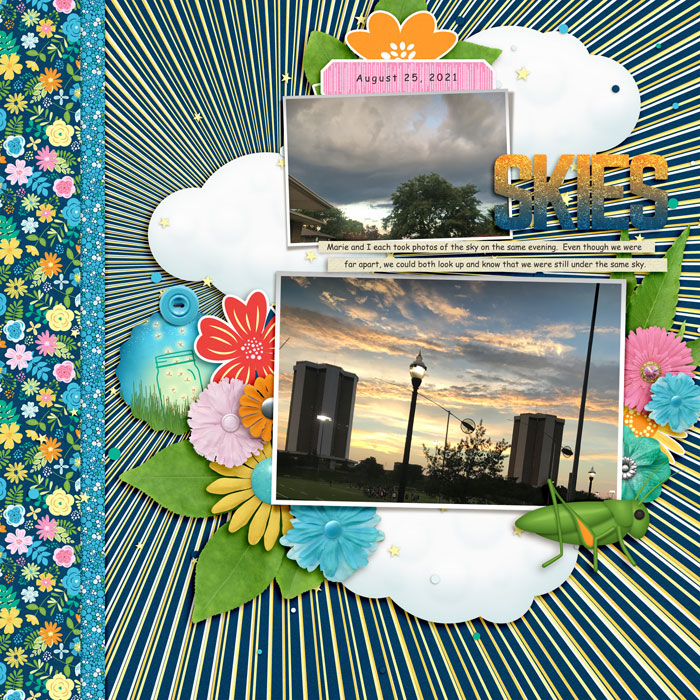 Skies