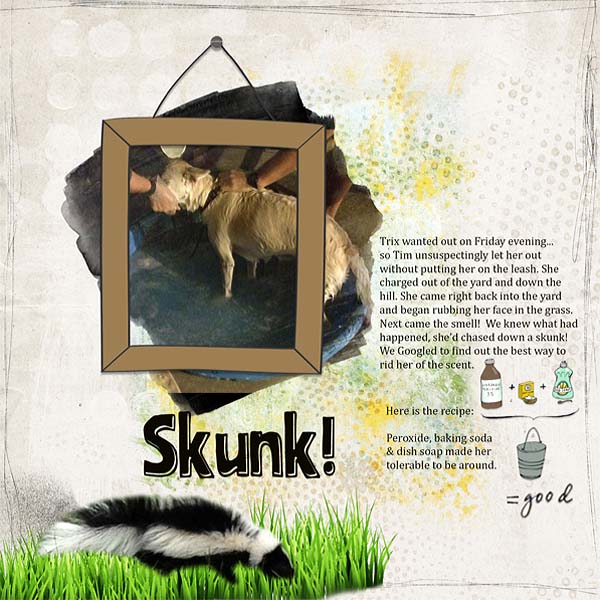 Skunk!