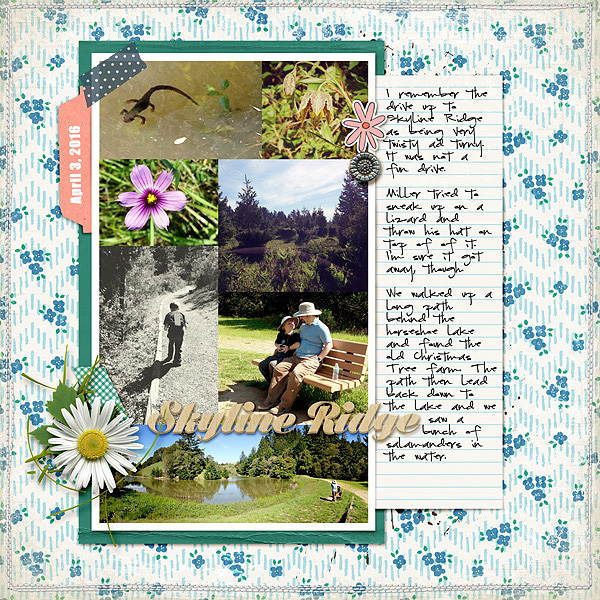 Skyline Ridge Walk