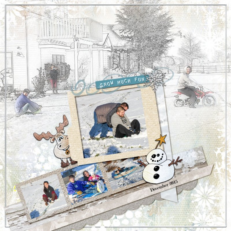 Sledding-2015 March challenge: Template