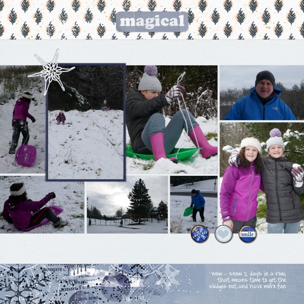 Sledging