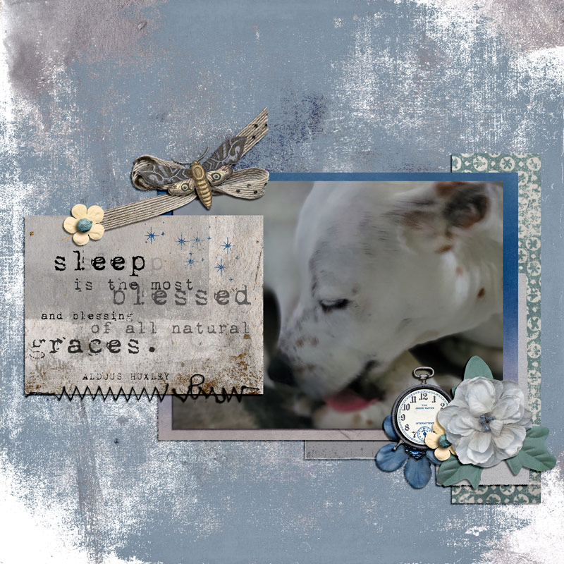 Sleep Blessed