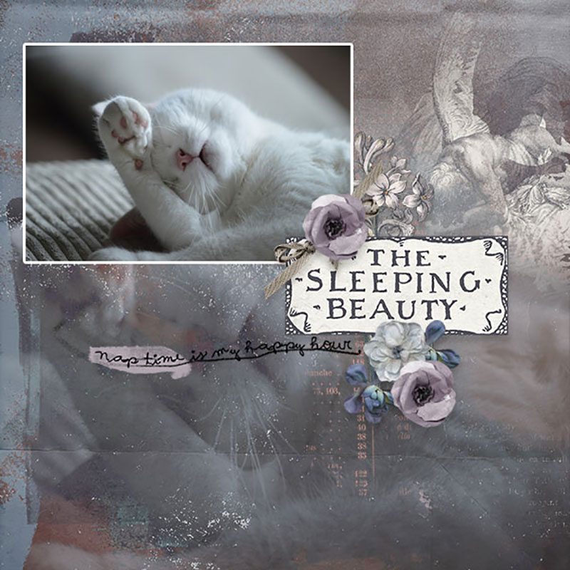 Sleeping-Beauty