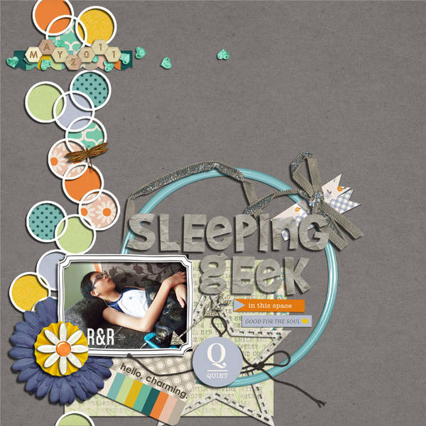 Sleeping Geek