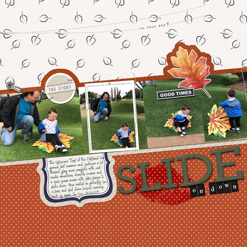 SlideAtZoo032019RC