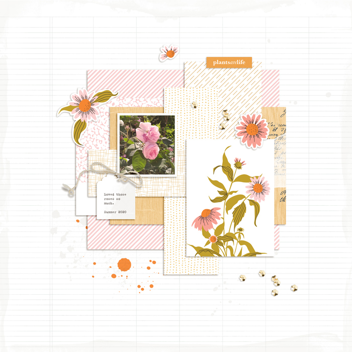 Slow Scrap 2/28 2022