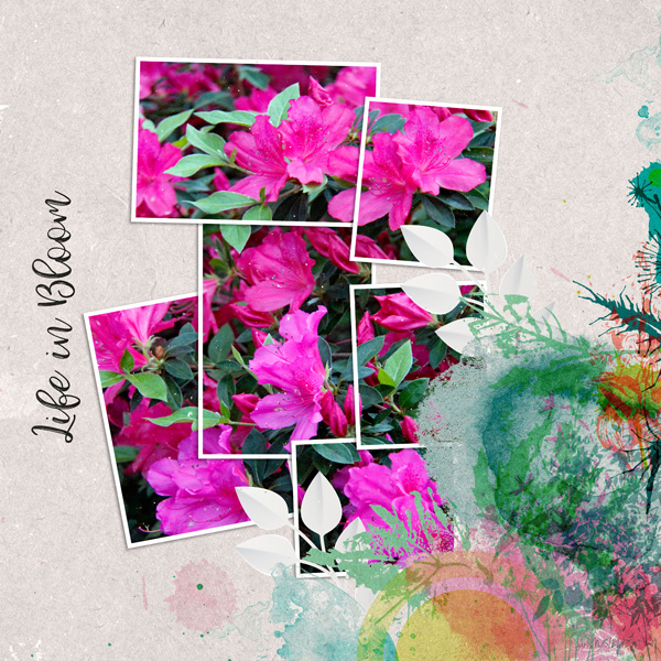 Slow Scrap 5-22_lifeinbloom