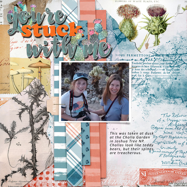 Slow Scrap 5-25_yourestuckwithme