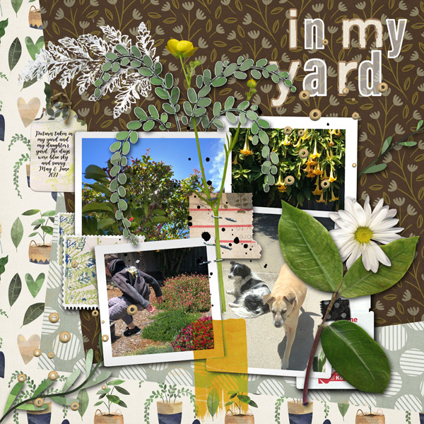 Slow Scrap 6-29_inmyyard