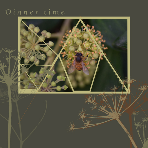Slow-scrap-dinner-time