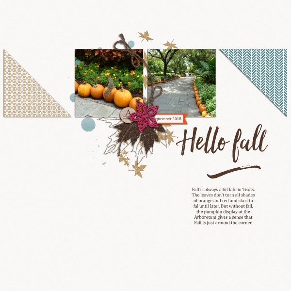 Slow scrap DSD Oct 5