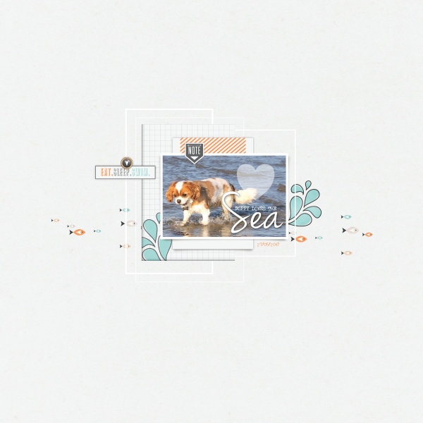 Slow Scrap - May 17