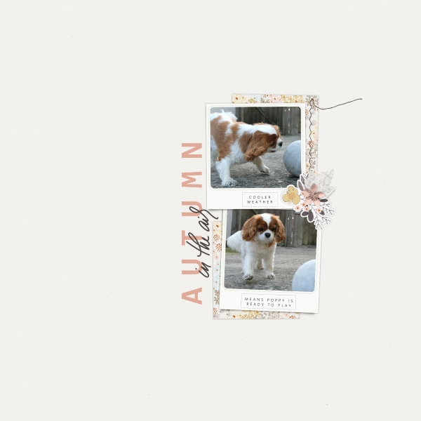 Slow Scrap - September 17