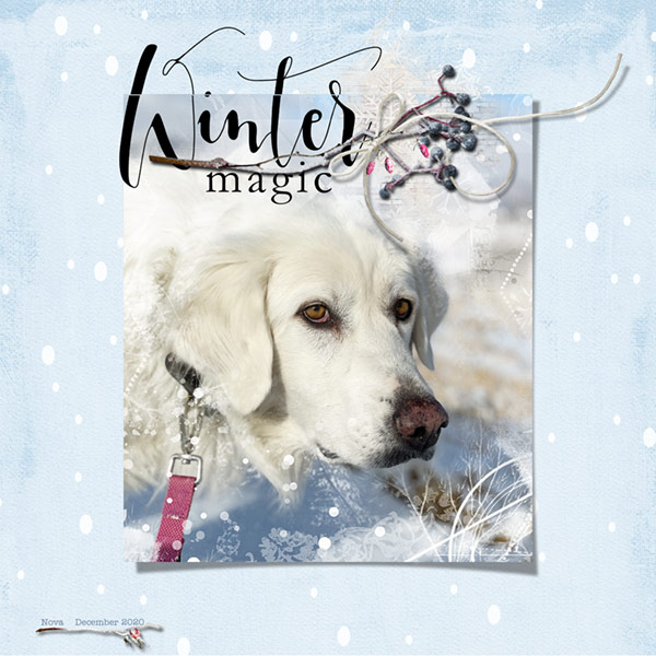 SLOW SCRAP_12-19-20_Nova_Snow_Overlay