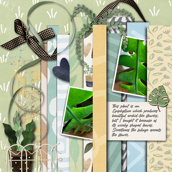 Slow Scrap_8_10_foliage