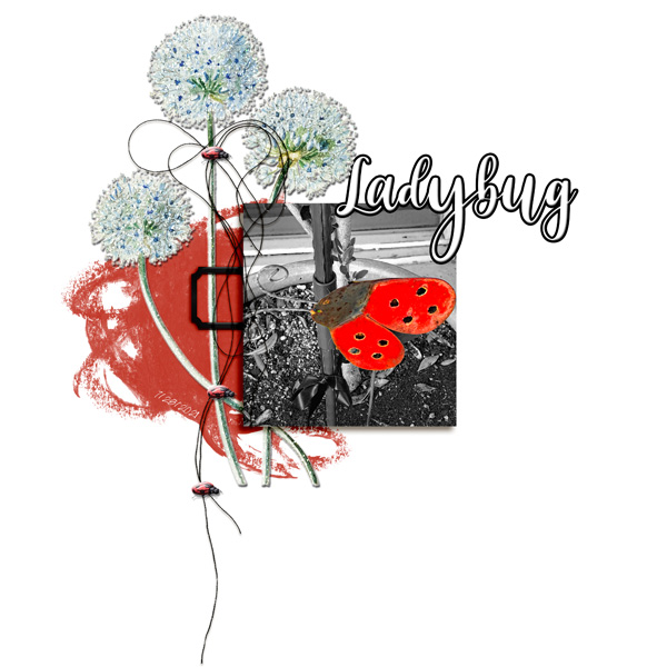 Slowscrap_728_ladybug