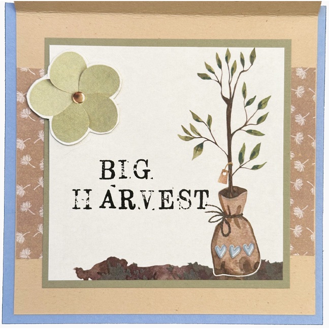 Small Seeds hybrid card (inside)