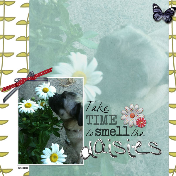Smell the daisies