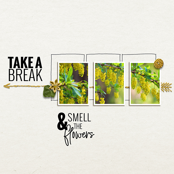 Smell The Flowers