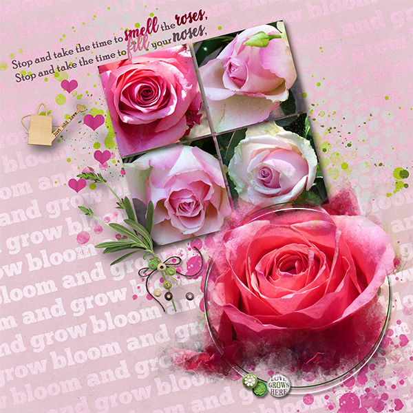 Smell-the-roses