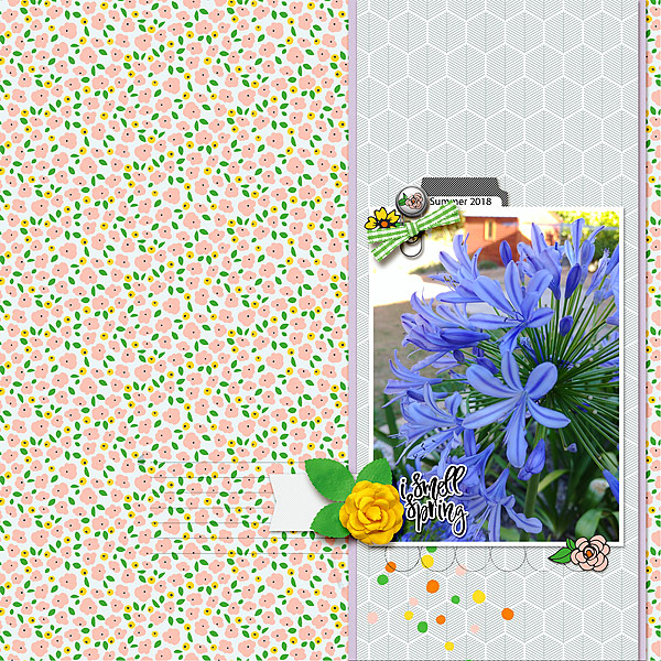 SmellSpringSmall