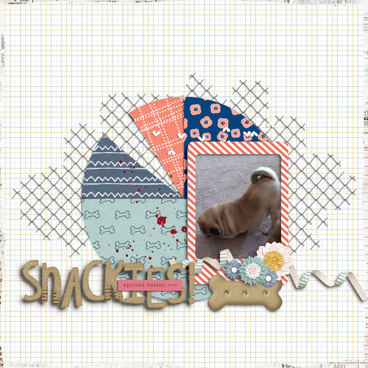 Snackies