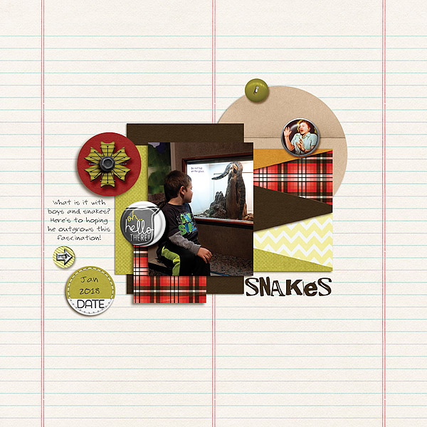 Snakes - MOC6 Jan 27 Six Designers