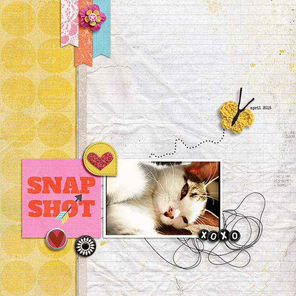 Snapshot