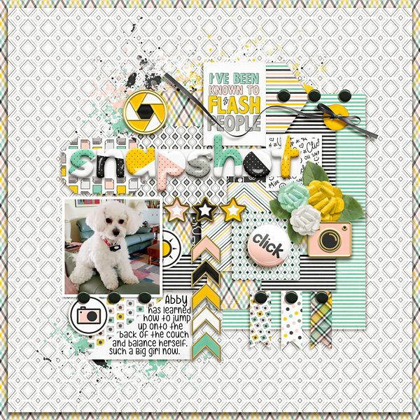 Snapshot