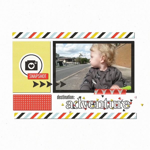 Snapshot