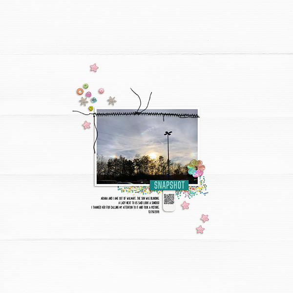 Snapshot