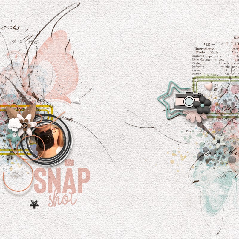 Snapshot