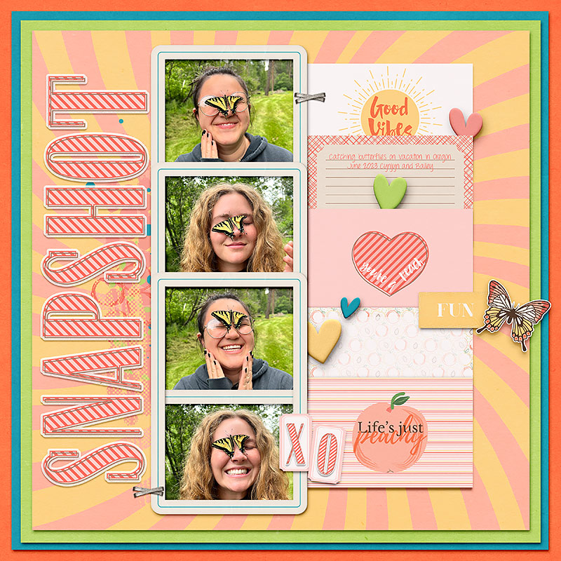 Snapshot